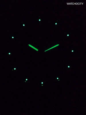 FOSSIL TOWNSMAN CHRONOGRAPH image 1