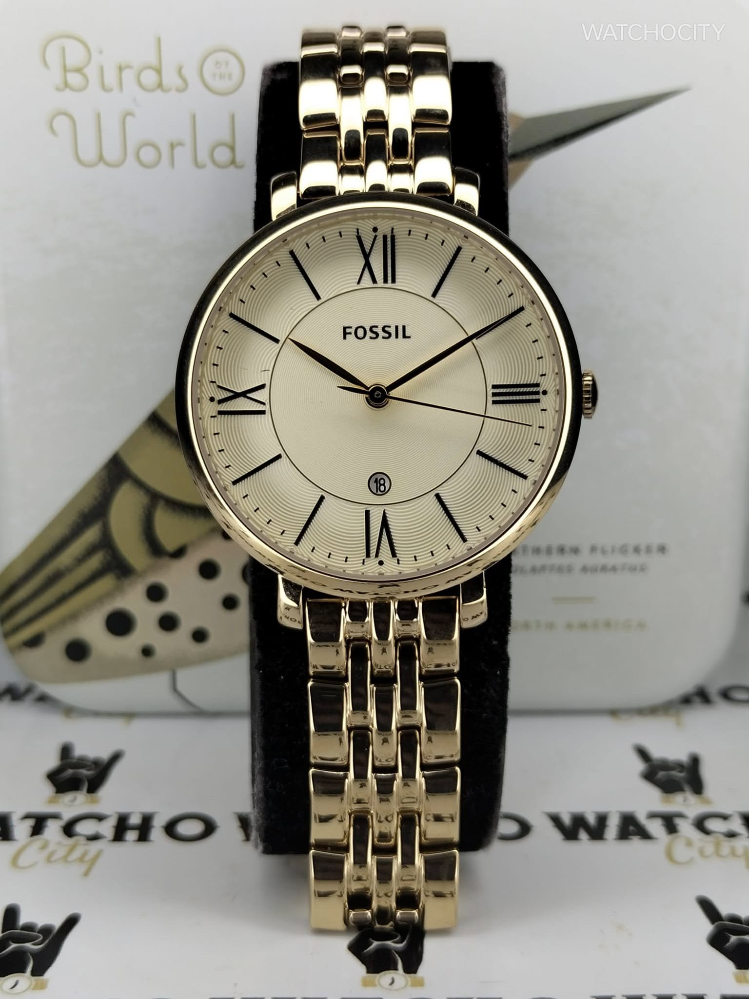 FOSSIL JACQUELINE WOMEN image 1