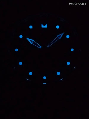 INVICTA PRO DIVER image 1