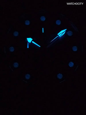 INVICTA PRO DIVER image 1