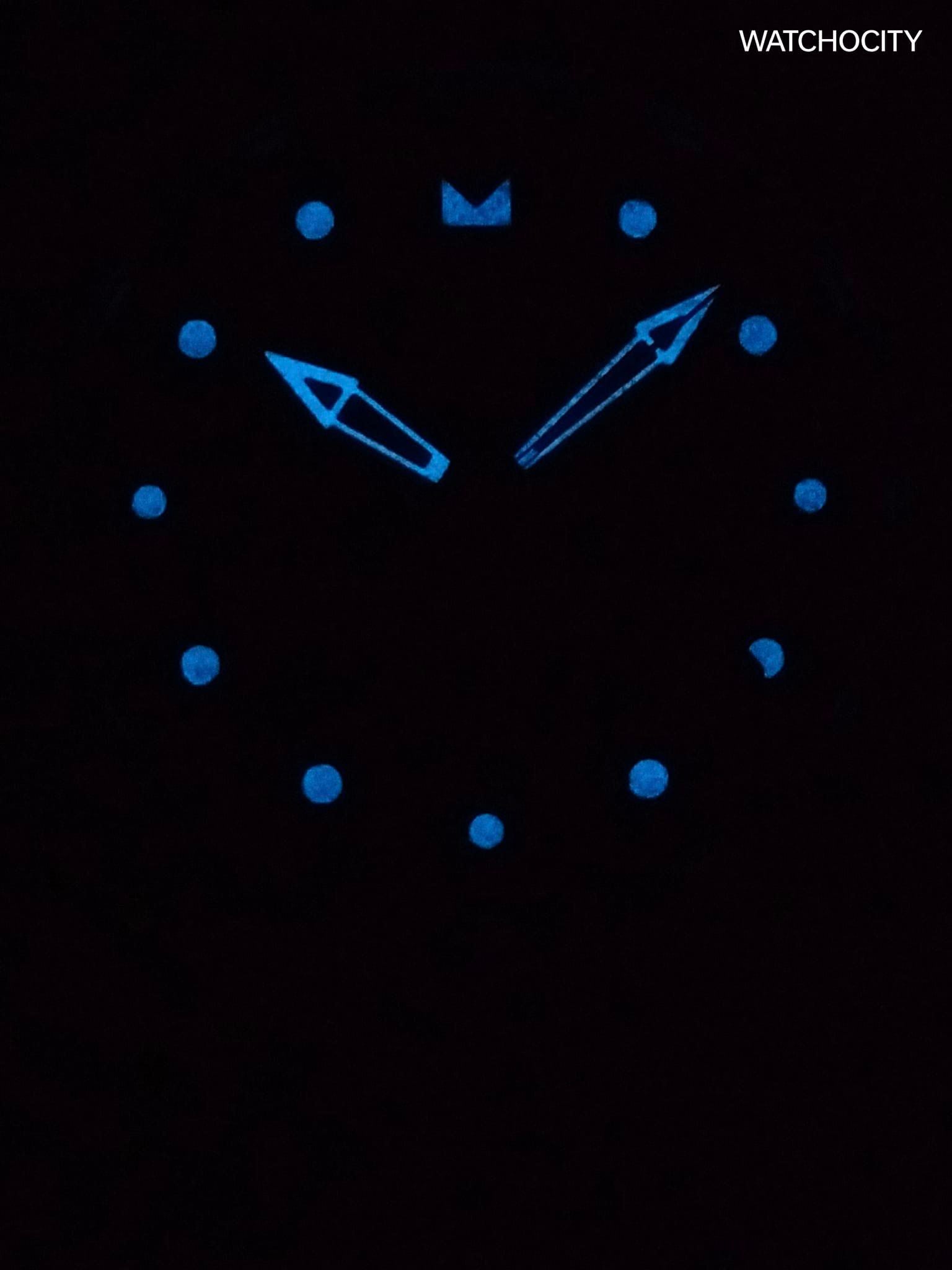 INVICTA PRO DIVER image 1