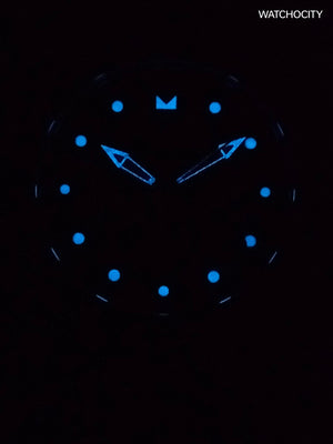 INVICTA PRO DIVER image 1