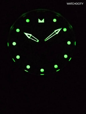 INVICTA PRO DIVER image 1