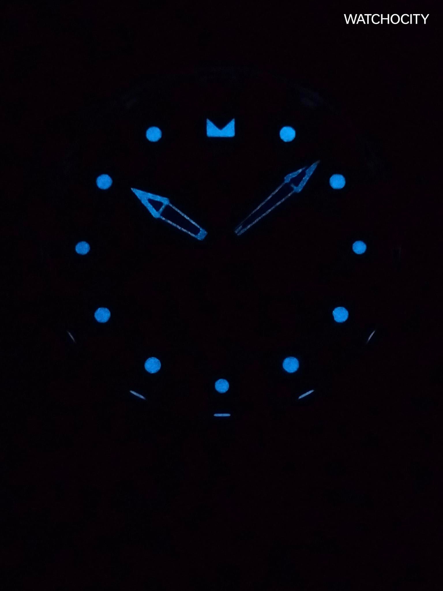 INVICTA PRO DIVER image 1