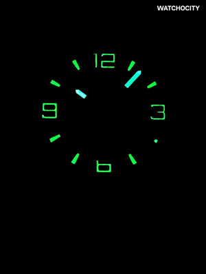 SWISS LEGEND THROTTLE image 2