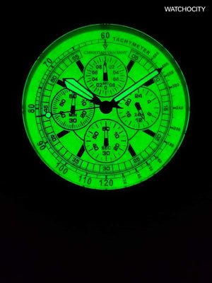 CHRISTIAN VAN SANT image 2