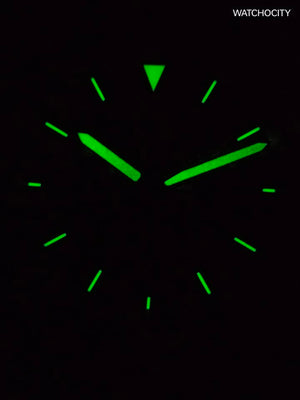 FOSSIL GOODWIN CHRONOGRAPH image 1