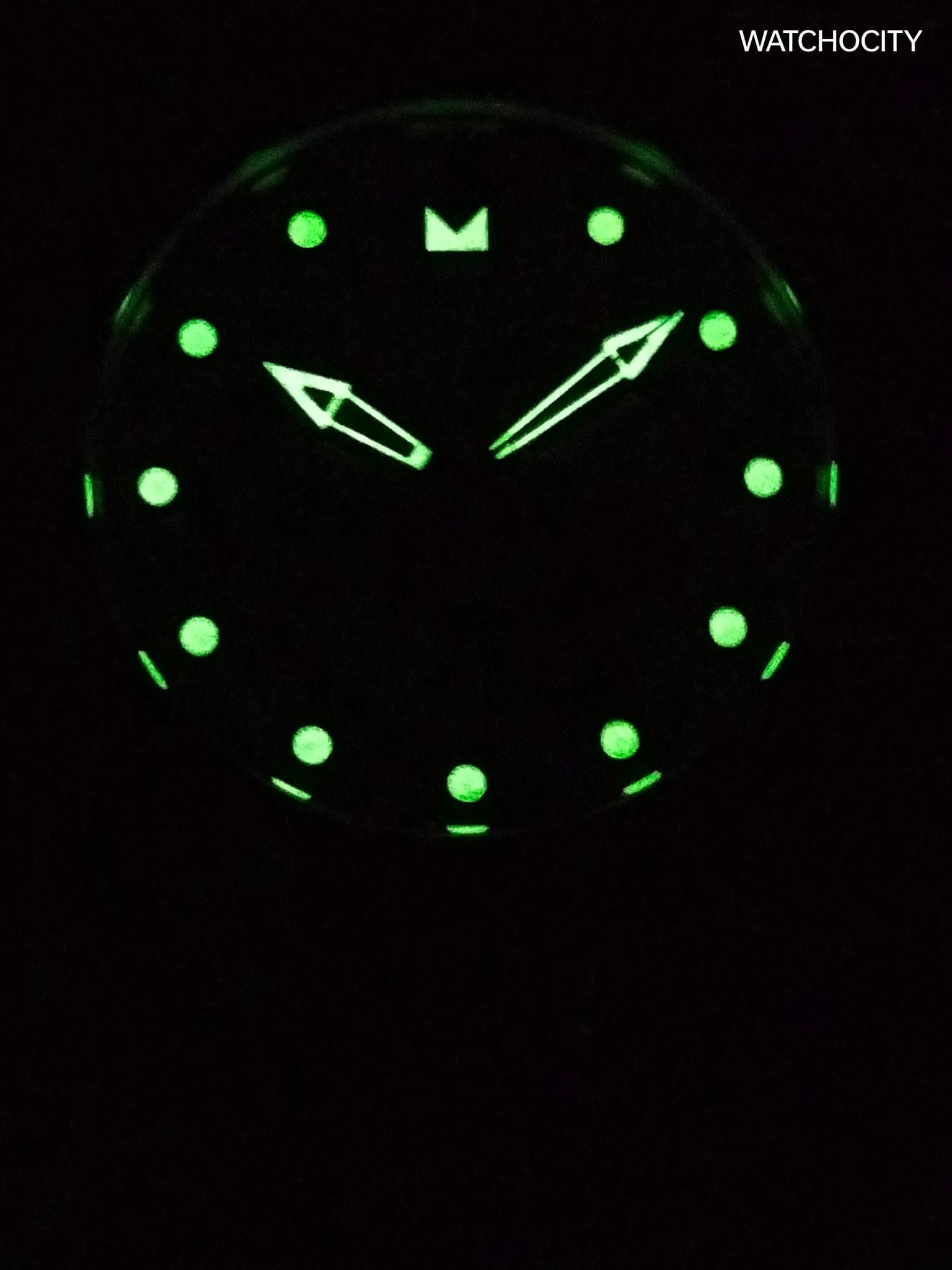 INVICTA PRO DIVER image 1