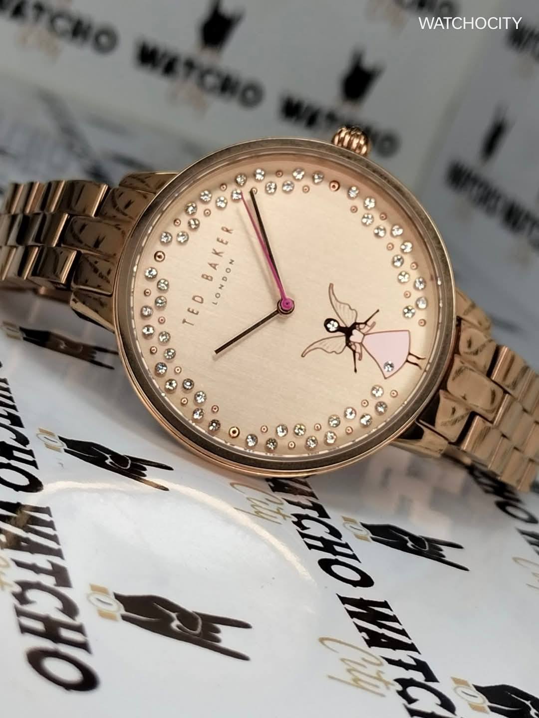 486704183_1080907770734985_1158312164256537675_n