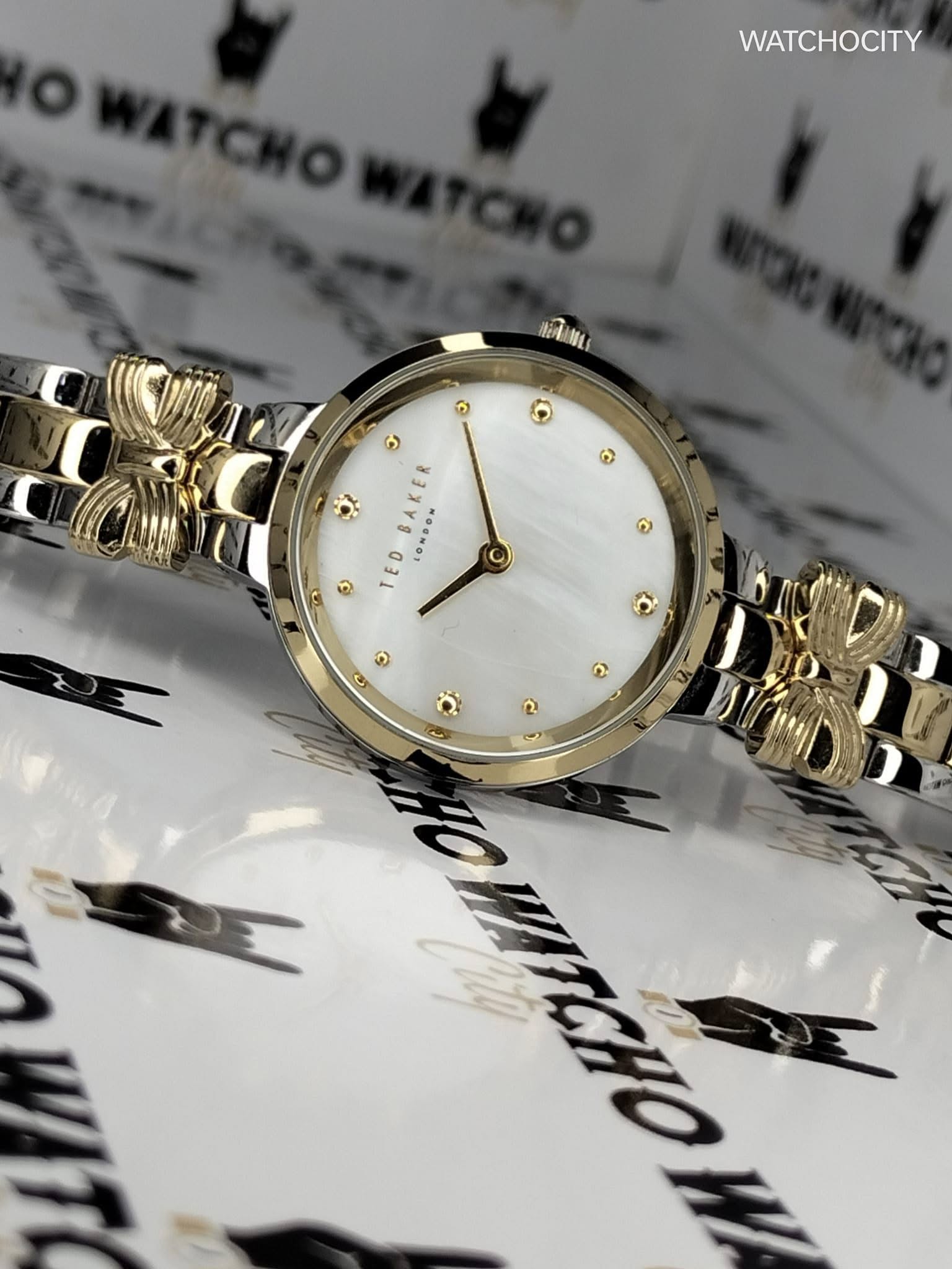 487119761_1077465251079237_2908413822203402046_n