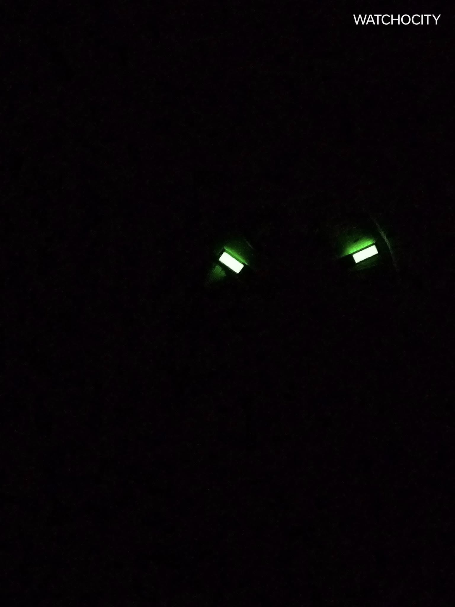 484014822_1069737988518630_605746078000861387_n