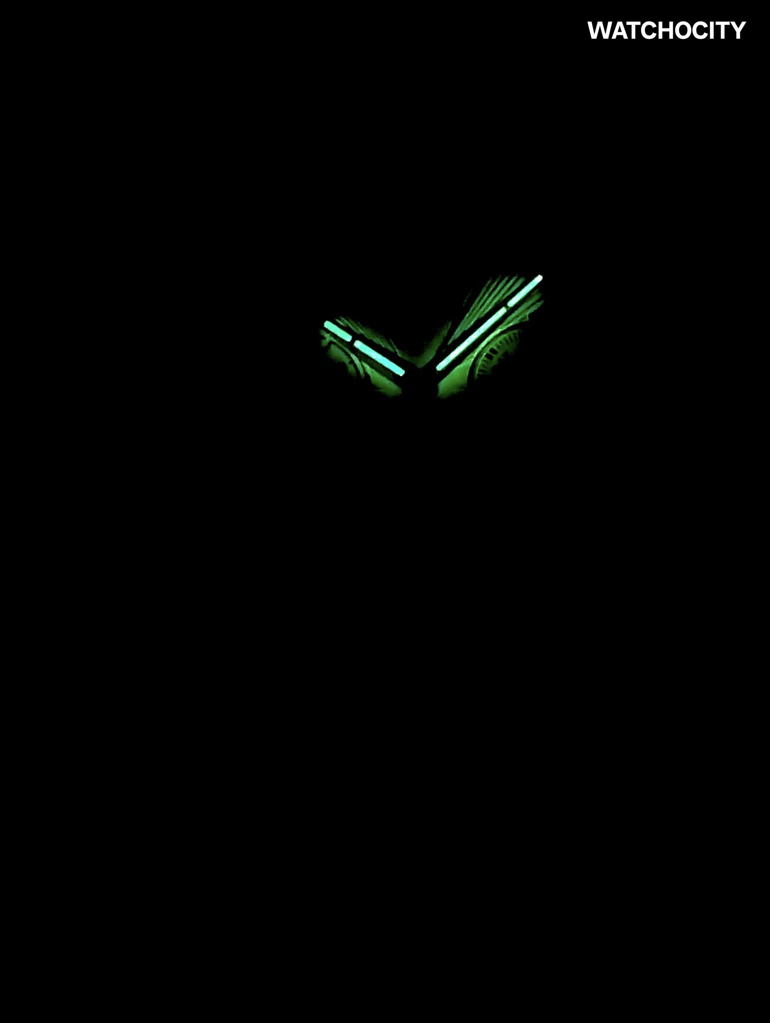 509367951_1146102107548884_2099218056112829225_n